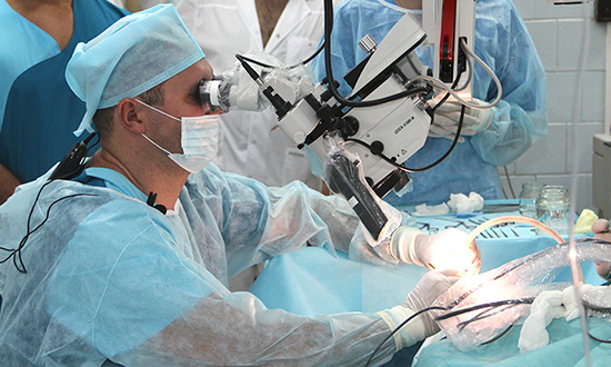 В августе 2012 года в клинике начали проводить операции по восстановлению слуха — тимпанопластика